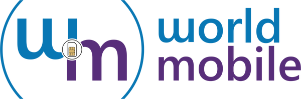 World Internet